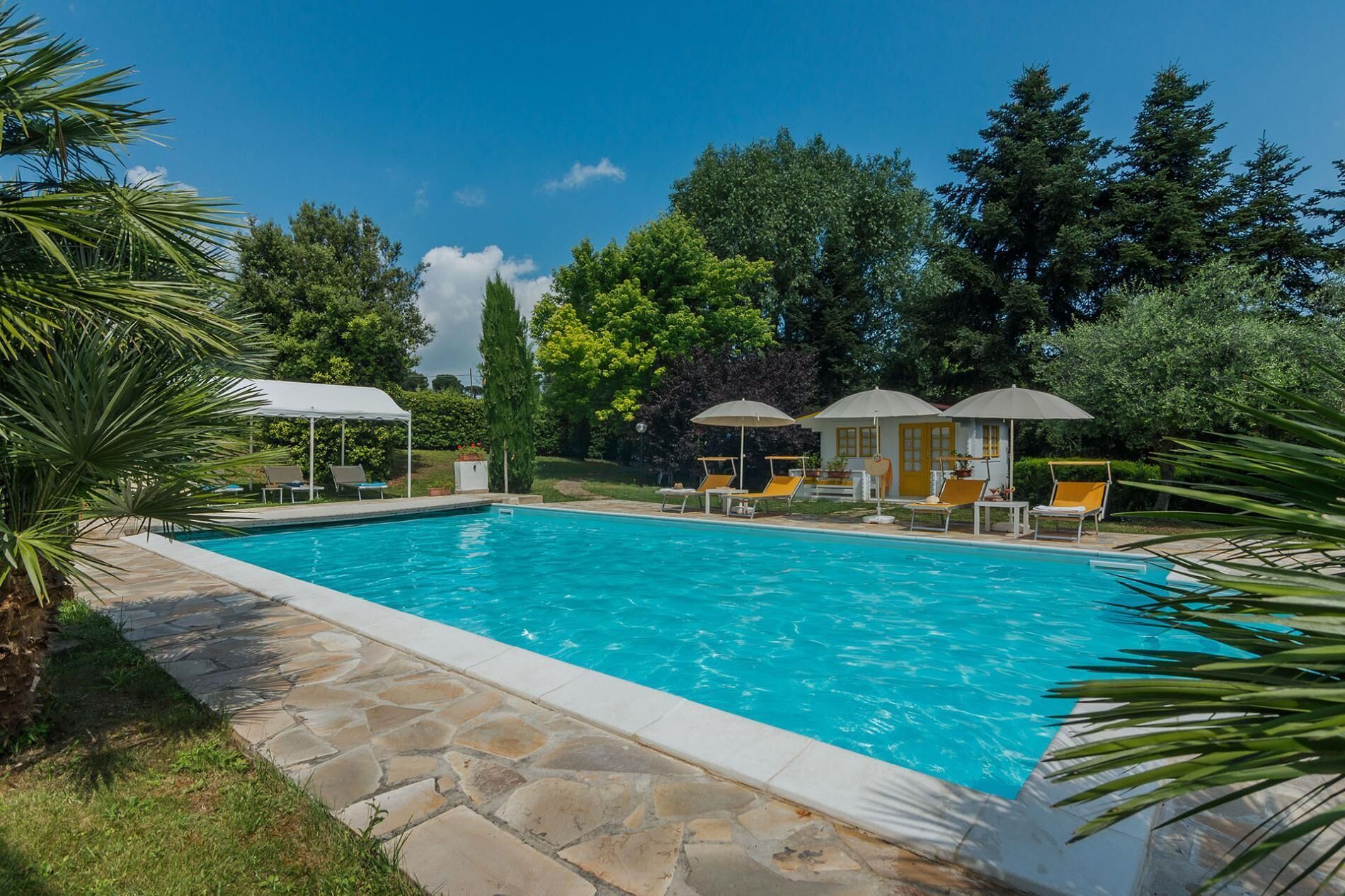 Une piscine entourée de verdure et d’arbres, avec des chaises longues et des parasols.