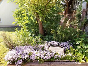 Un jardín con diversas plantas y un banco de madera.