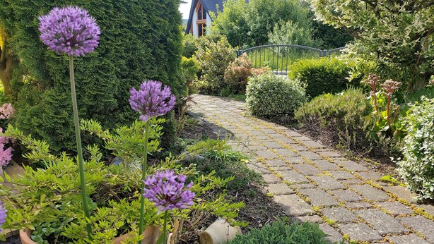 A garden pathway with potted plants and a house in the background.