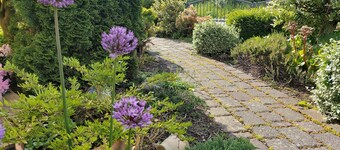 Fantastic vacation home with garden, terrace, playground & e-charging station