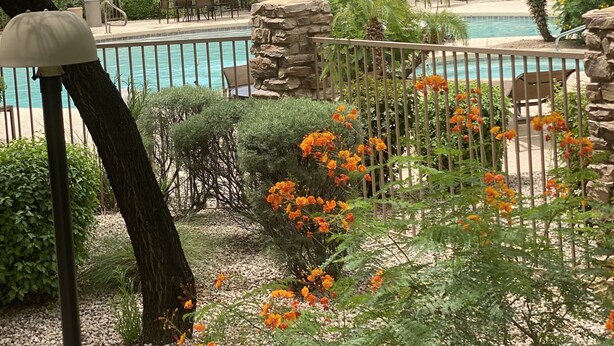 A pool area with a stone fountain, surrounded by greenery and outdoor seating. - Grayhawk Scottsdale Full Remodel Gated Condo, Ground Floor, 3 Resort Pools (Scottsdale)