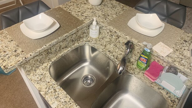 A kitchen with granite countertops, stainless steel sinks, and a potted plant.
