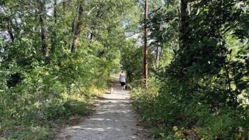 Un sentier étroit et non pavé, bordé d’une végétation dense et d’arbres.