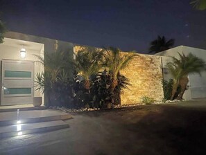Stylish entrance with a white door and glass panel, surrounded by lush tropical plants and a driveway leading to the property.