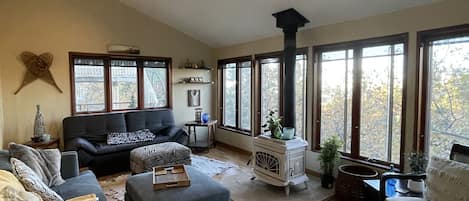 Smart TV, chimenea y estéreo