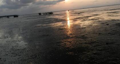 Casa de vacaciones para 6 personas aprox. 80 qm en Anjum, Frisia (Costa de Frisia)