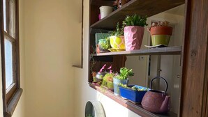 A shelf with various potted plants and a decorative metal bowl. - Adventurer's Paradise 🏔 ⛷ Close to Boulder/Denver (Lafayette)
