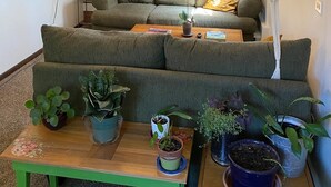 A living room with a brick wall, a ceiling fan, a flat-screen TV, a green sofa, and various potted plants. - Adventurer's Paradise 🏔 ⛷ Close to Boulder/Denver (Lafayette)