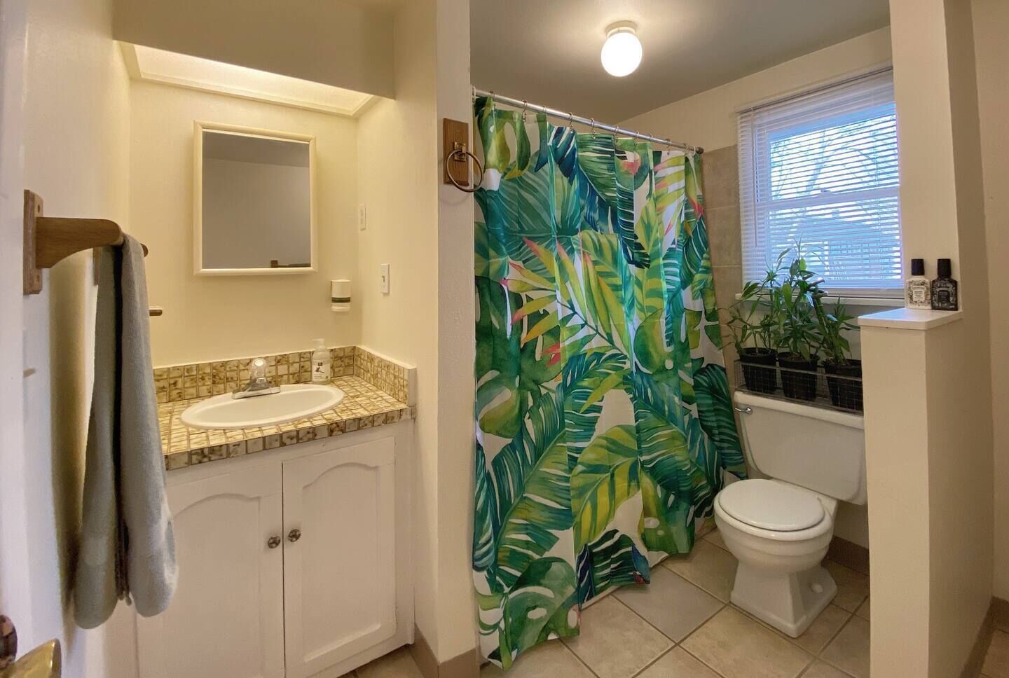 Une salle de bain avec un lavabo blanc, un miroir au-dessus, des toilettes et un rideau de douche orné d’un motif de feuilles tropicales.