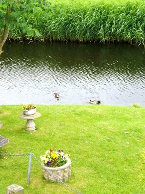 Overnatningsstedets område