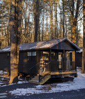 Premium bedding, down comforters, Tempur-Pedic beds, in-room safe