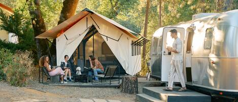 A campsite with a tent, a trailer, and a small dog.