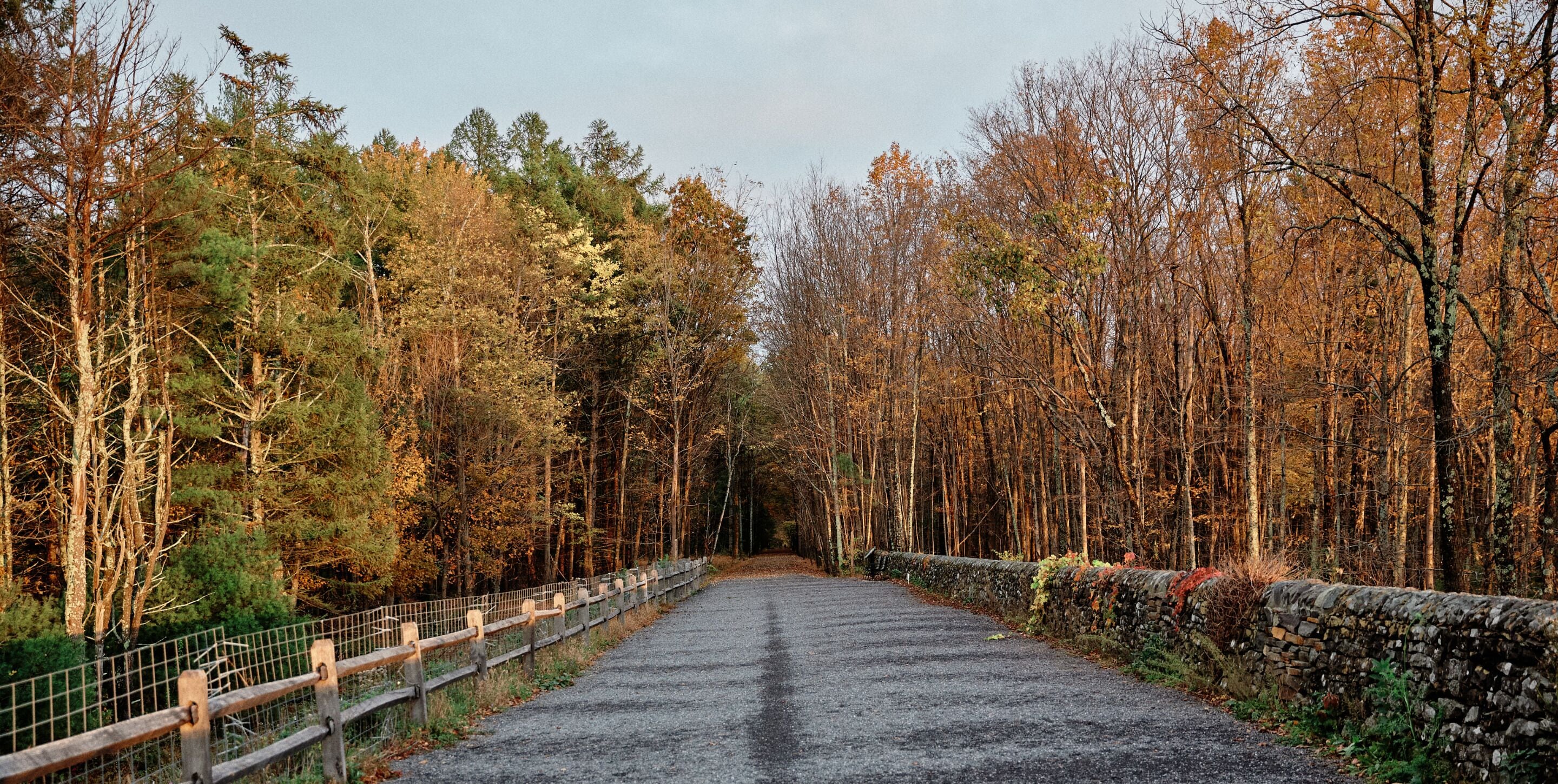 A gravel road flanked by trees and stone walls, leading into a forested area.