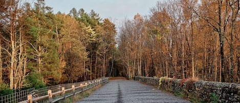 A gravel road flanked by trees and stone walls, leading into a forested area.