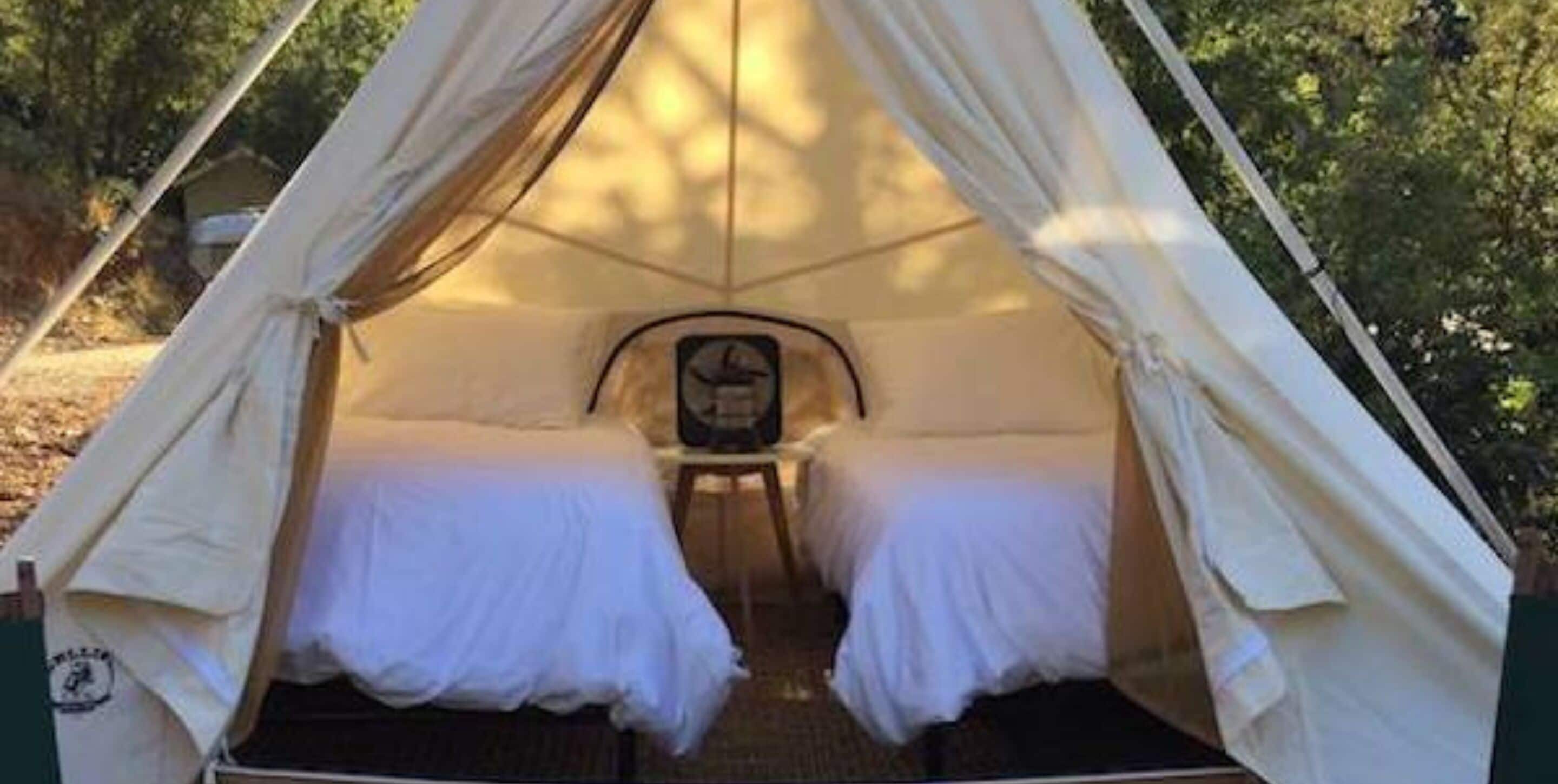 A tent with a bed inside, surrounded by trees.