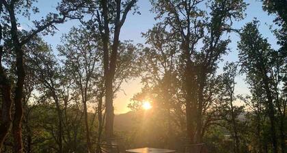 Cozy Wine Country Rental Close to Downtown Hopland