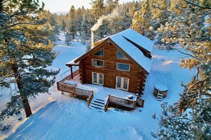 Exterior - Custom log cabin tucked away in private forest (Hartsel)