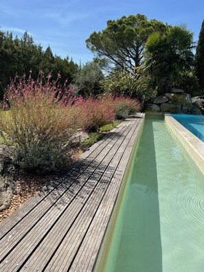 Eine Holzterrasse führt zu einem Schwimmbecken mit einer klaren, blauen Wasserfläche.