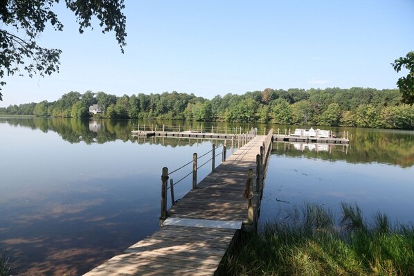 Un muelle de madera que se adentra en aguas tranquilas, rodeado de abundante vegetación y un cielo despejado.