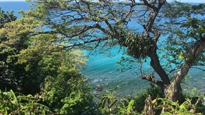 A pool with clear blue water, surrounded by lush greenery and overlooking a scenic view of the ocean. - Top Seaview Apartment with pool (Scarborough)
