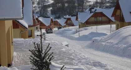 Holiday house Lipno nad Vltavou for 1 - 8 persons with 4 bedrooms - Holiday home
