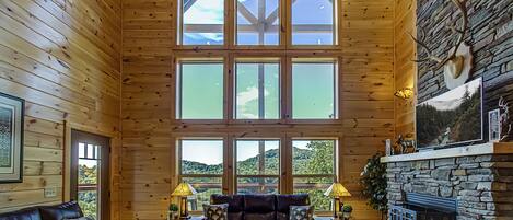 Een smart-tv, een open haard, videogames en een dvd-speler