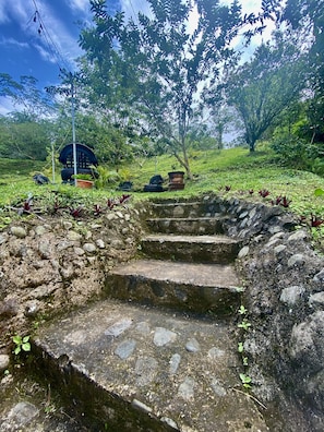 Steps lead to a serene traditional structure amidst lush green surroundings.