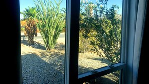 A window with a view of a desert garden, including a palm tree and various shrubs. - NEW! Joshua Tree Dream - A Modern Desert Spa Retreat (Twentynine Palms)