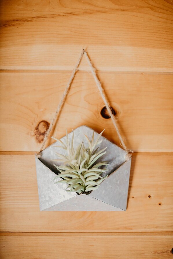 Una planta colgante en un contenedor geométrico sobre un fondo de madera.