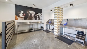 A pet grooming station with a wall-mounted photo of dogs, a stainless steel sink, and grooming tools. - Luxury One Bedroom with Full-Service Amenities (Mountain View)