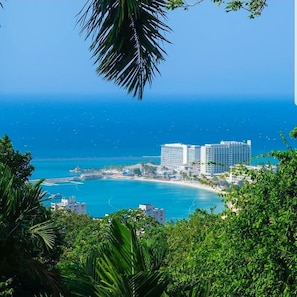 Beach/ocean view