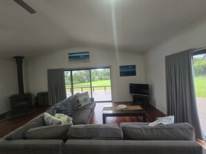 TV, fireplace, books