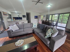 TV, fireplace, books