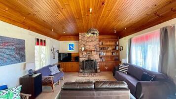 Televisión, chimenea y libros