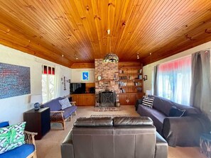 TV, fireplace, books