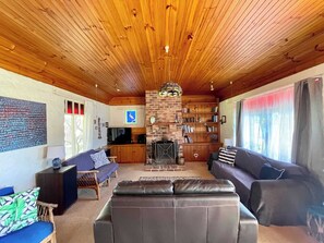 TV, fireplace, books