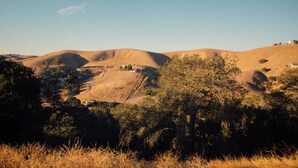 Unclassified image, 3 of 36, button - Close to Wineries/Hot Tub/Vineyard View/Dog Okay! (Templeton)
