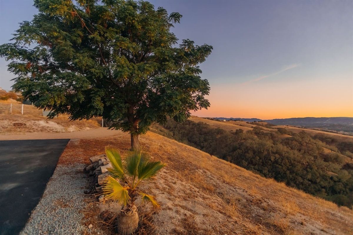 Une route bordée d’arbres, offrant une vue dégagée sur les collines environnantes.