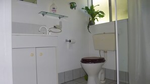 Suihkun ja ammeen yhdistelmä