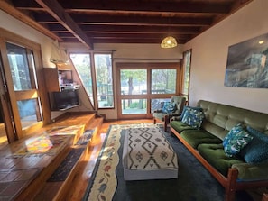 Fernseher, Kamin, DVD-Player