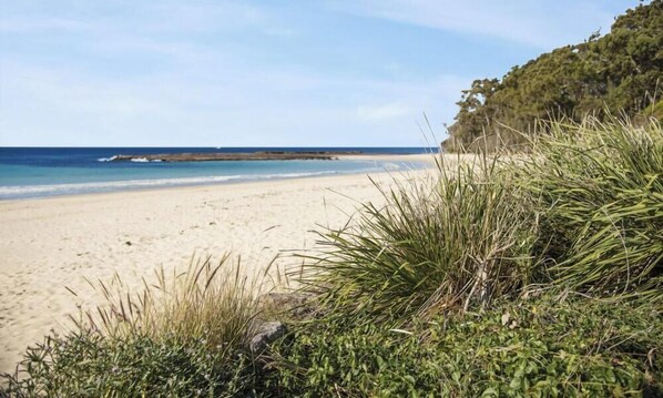 Beach nearby - Fathoms 2 Summary:<br>Re (Mollymook)