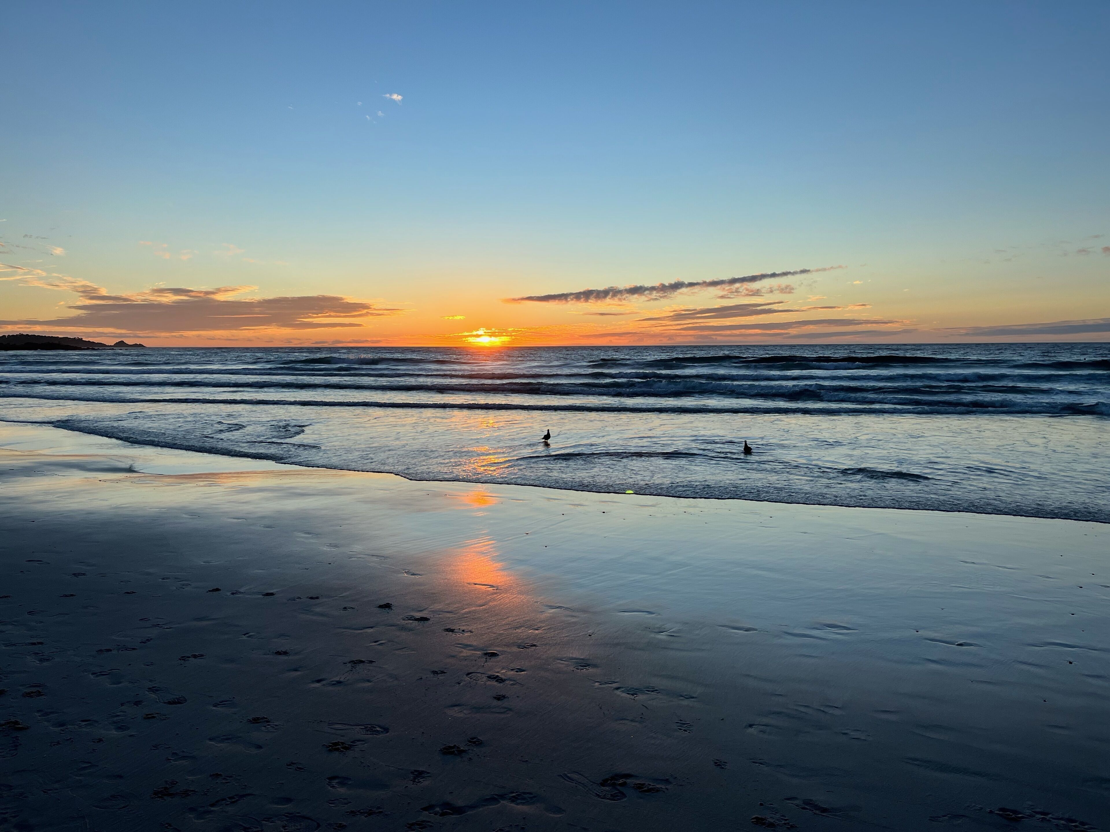 In Strandnähe, Strandtücher