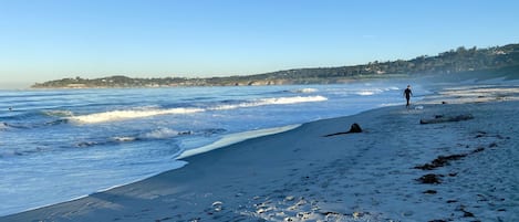 Plage à proximité, serviettes de plage
