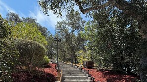 Una escalera de piedra con barandillas de madera, rodeada de mantillo rojo y guijarros blancos, que lleva a una zona sombreada con árboles.
