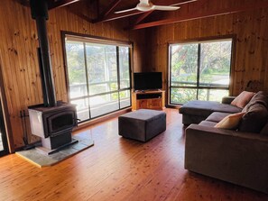 Télévision, cheminée