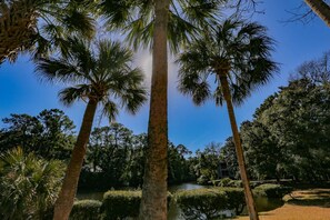 A serene park with tall palm trees, a pond, and neatly trimmed bushes.