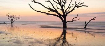 Let's Do Sunset!  Fabulous Screened Porch, Lagoon Views, Adjustable Beds and Dog Friendly!