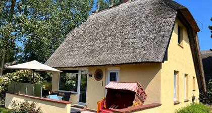 Haus Seestern - ID 134195 - Haus Seestern