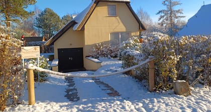 Haus Seestern - ID 134195 - Haus Seestern