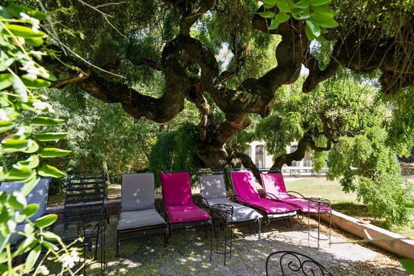 A shaded outdoor seating area with metal chairs and a table, surrounded by lush greenery and a large tree.